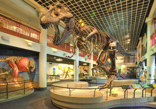 Dinosaur Hall at the Academy of Natural Sciences of Drexel University. Credit: Will Klein