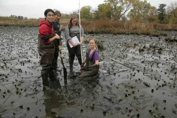 Students perform field research in a muddy marsh.